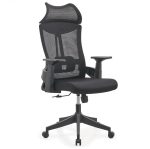 Lama Orthopedic Office Chair - Image 2