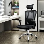Orthopedic Executive Office Seat