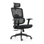 Orthopedic Office Boss Chair - Image 2