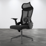 Lama Orthopedic Office Chair