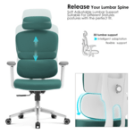 Office Chair Supplier in Kenya. office chair, office chairs, office chair Kenya, office chairs Kenya, buy office chair Kenya, office chair for sale Kenya, office chair price Kenya, office chairs prices Kenyaoffice chair bulk supply Kenya, office chair quotation Kenya, office furniture quotation Kenya, office furnishing Kenya, office chair delivery Kenya, office furniture delivery Kenya, office chair delivery Nairobi, office furniture delivery Nairobi, office furniture installation Kenya, office chair assembly Kenya, office furniture installation Nairobi, nationwide office chair delivery Kenya, office furniture supplier Nairobi, office chair supplier Nairobi, office chair shop Nairobi, office chairs Nairobi, buy office chair Nairobi, office chair Nairobi CBD, office chairs CBD Nairobi, office chairs Mombasa Road, office chair Mombasa Road, office furniture Mombasa Road, office chairs Westlands, office chairs Kilimani, office chairs Upper Hill, office chairs Karen, office chairs Parklands, office chairs Lavington, office chairs Kileleshwa, office chairs Industrial Area Nairobi, office chairs South C Nairobi, office chairs South B Nairobi, office chairs Embakasi, office chairs Ruiru, office chairs Thika, office chairs Kiambu, office chairs Athi River, office chairs Kitengela, office chairs Machakos, office chairs Nakuru, office chairs Naivasha, office chairs Eldoret,office chair supplier near me, office furniture supplier near me, office chairs Nairobi Kenya, office chairs Mombasa Kenya, office chairs Kisumu Kenya, office chairs Nakuru Kenya, office chairs Eldoret Kenya, office chairs nationwide Kenya