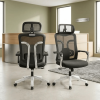 Office Char Supplier in Kenya. Office chair, office chairs Kenya, ergonomic office chair, executive office chair, orthopedic office chair, high back office chair, mid back office chair, mesh office chair, leather office chair, swivel office chair, adjustable office chair, comfortable office chair, computer office chair, manager office chair, director office chair, CEO office chair, staff office chair, visitor office chair, office chair with wheels, modern office chair, office seating Kenya, office furniture Kenya, office chairs Nairobi, office chairs Mombasa, office chairs Kisumu, office chairs Nakuru, office chairs Eldoret, buy office chair Kenya, office chair supplier Kenya, office chair for sale Kenya, affordable office chairs Kenya, professional office chair Kenya, ergonomic office furniture Kenya, workplace seating Kenya, commercial office chairs Kenya